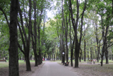 Il Parco Janki Kupaly